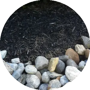 New Project (5)