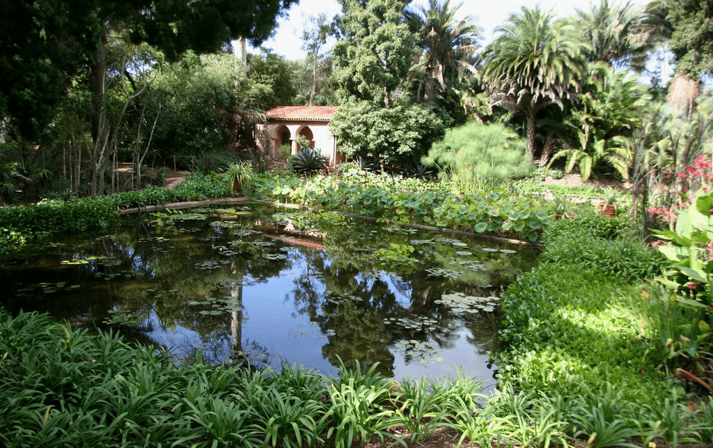 image lehigh lawn care palm garden image<br />