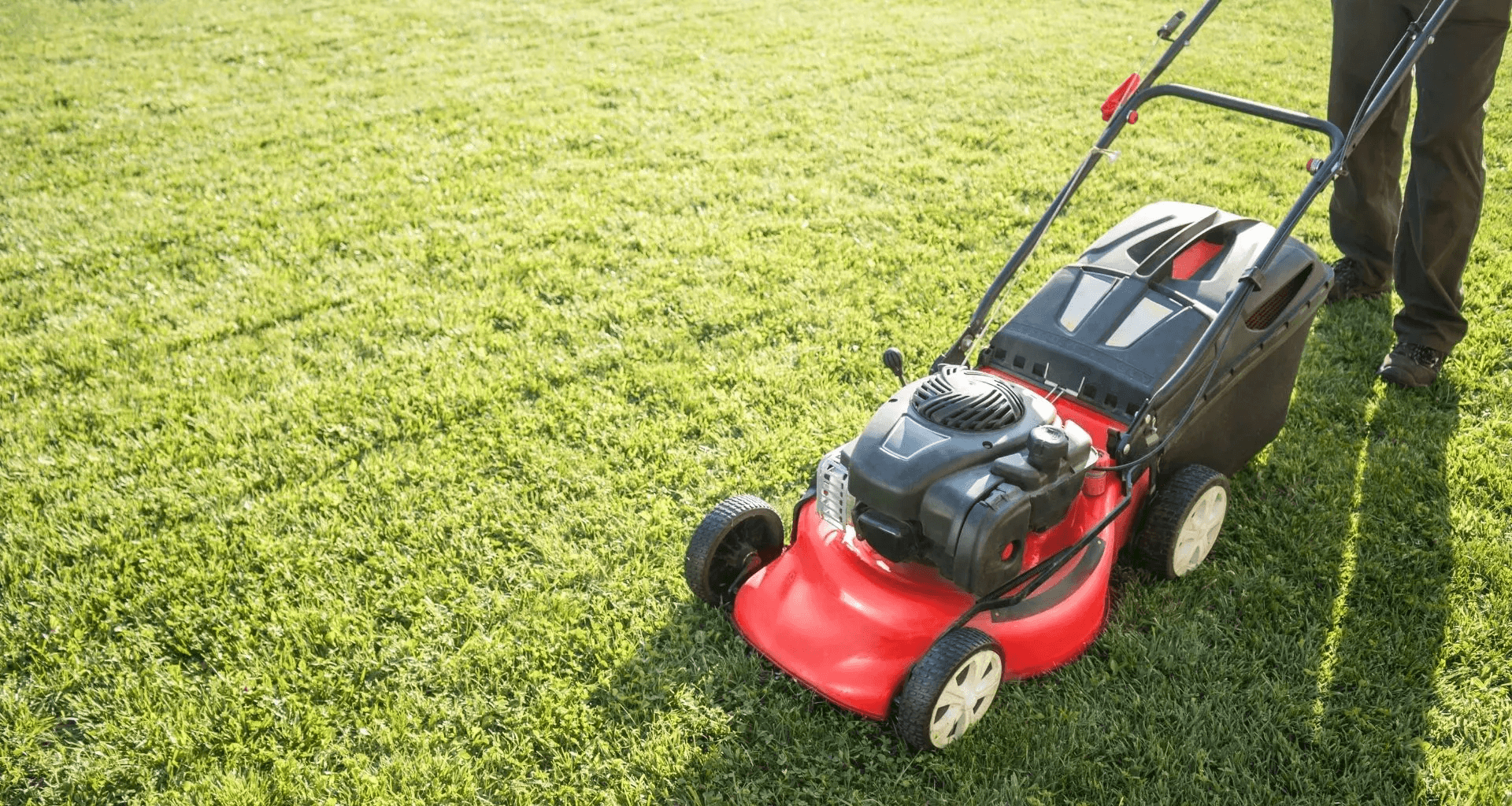 Lehigh Lawn Care Lawn more image