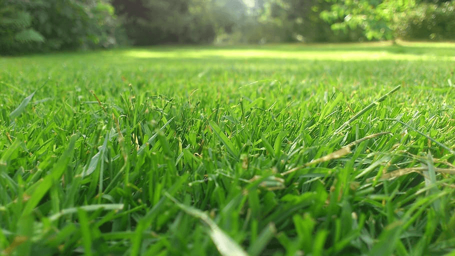 lawn mowing service image