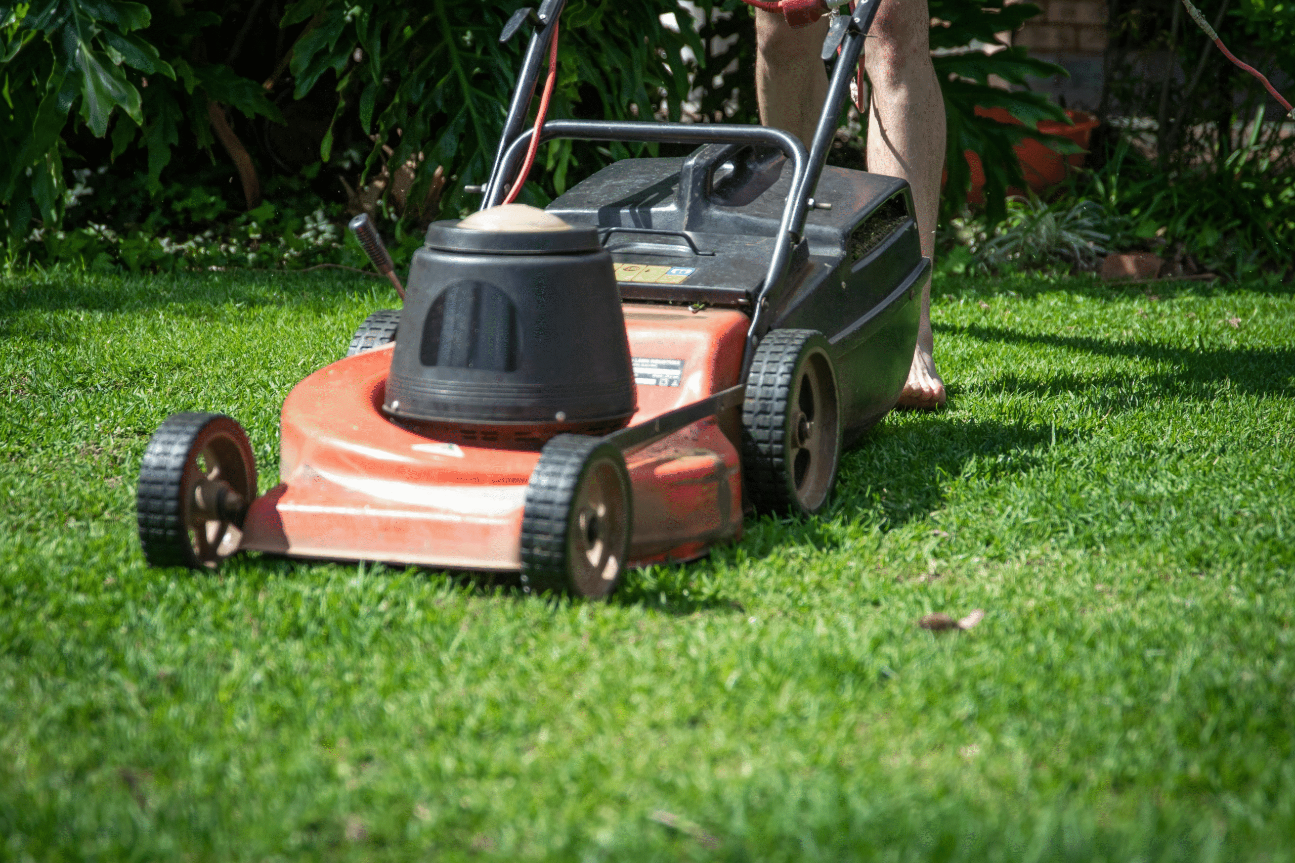 Lawnmower image